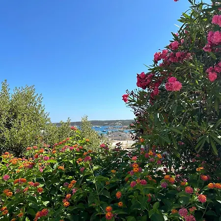 Belvedere Dagli Oleandri Apartamento Liscia di Vacca