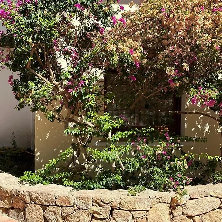 Belvedere Dagli Oleandri Liscia di Vacca